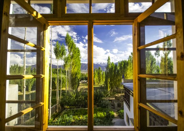 Cost of Wood Window Replacement in Greensboro
