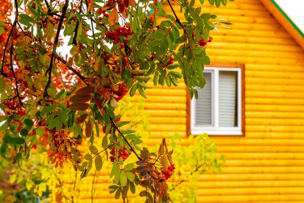 Cost of Garden Window Replacement in Greensboro